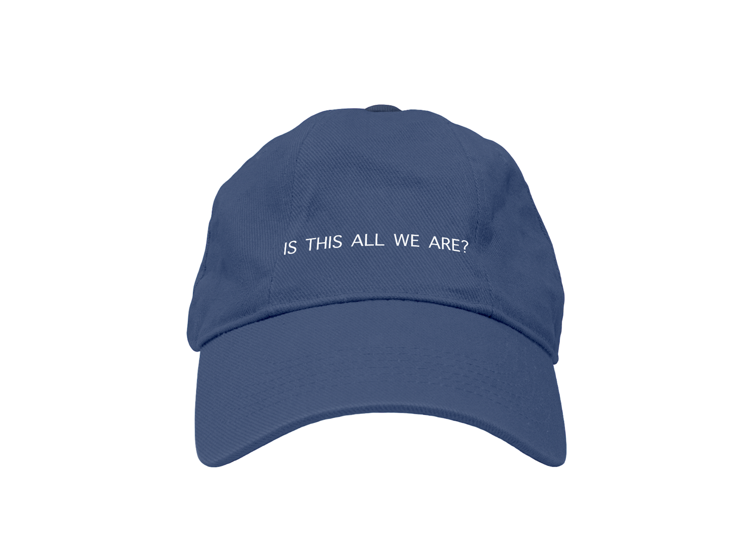 Vistas - Is This All We Are? Hat